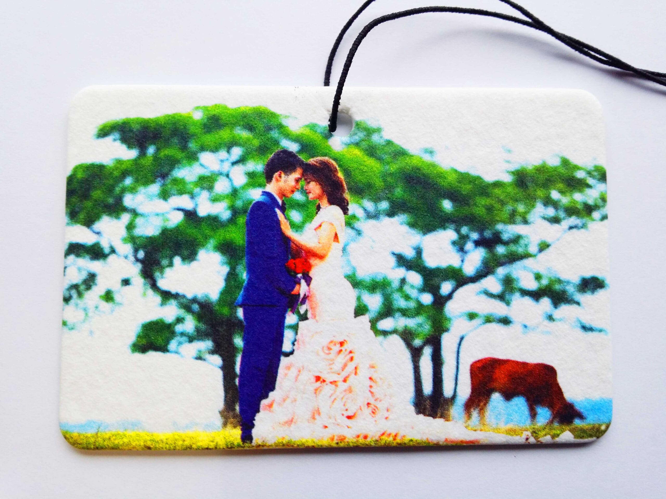 2 Pictures On A Single Rectangular Air Freshener - Landscape