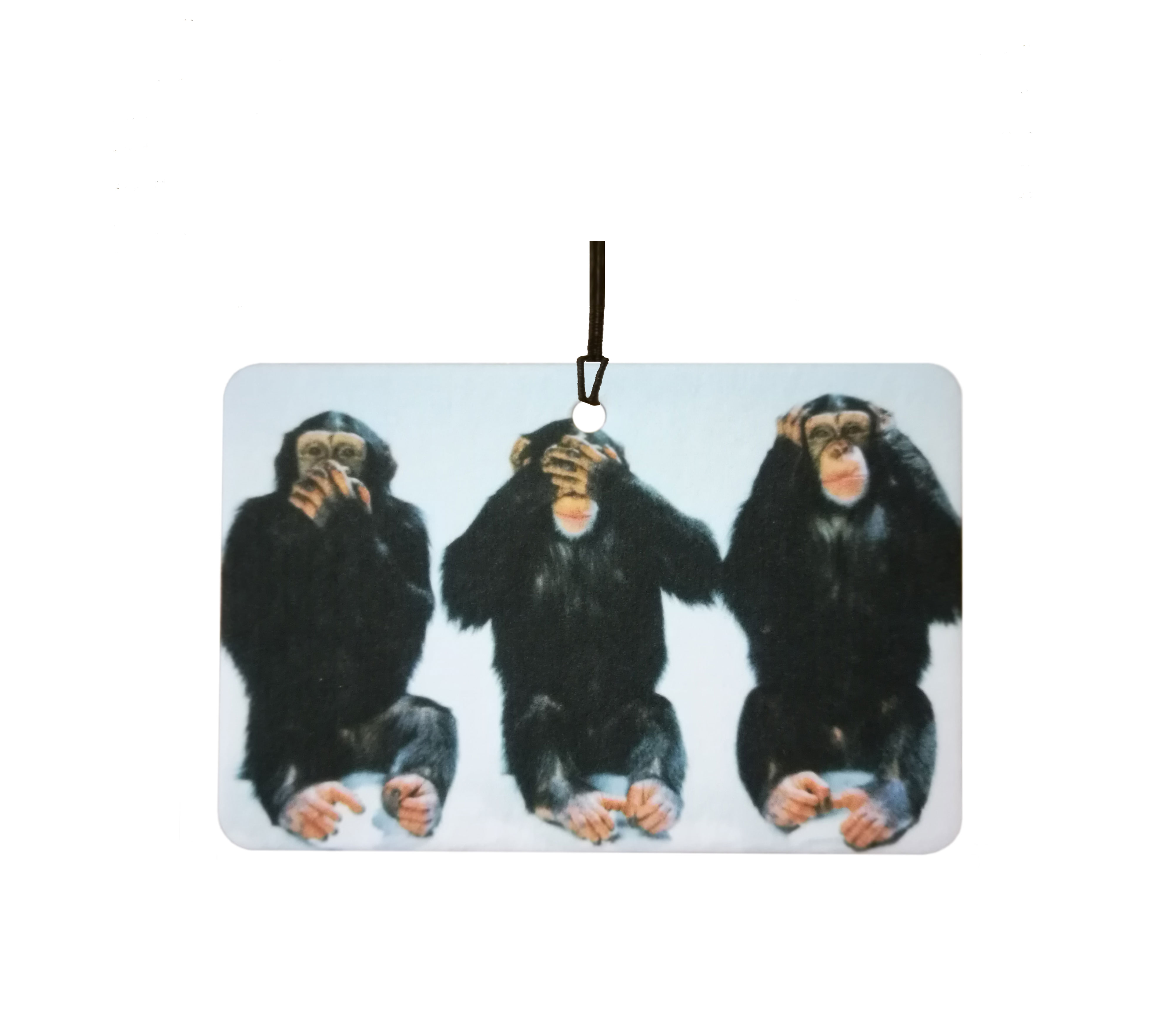 The Three Wise Monkeys