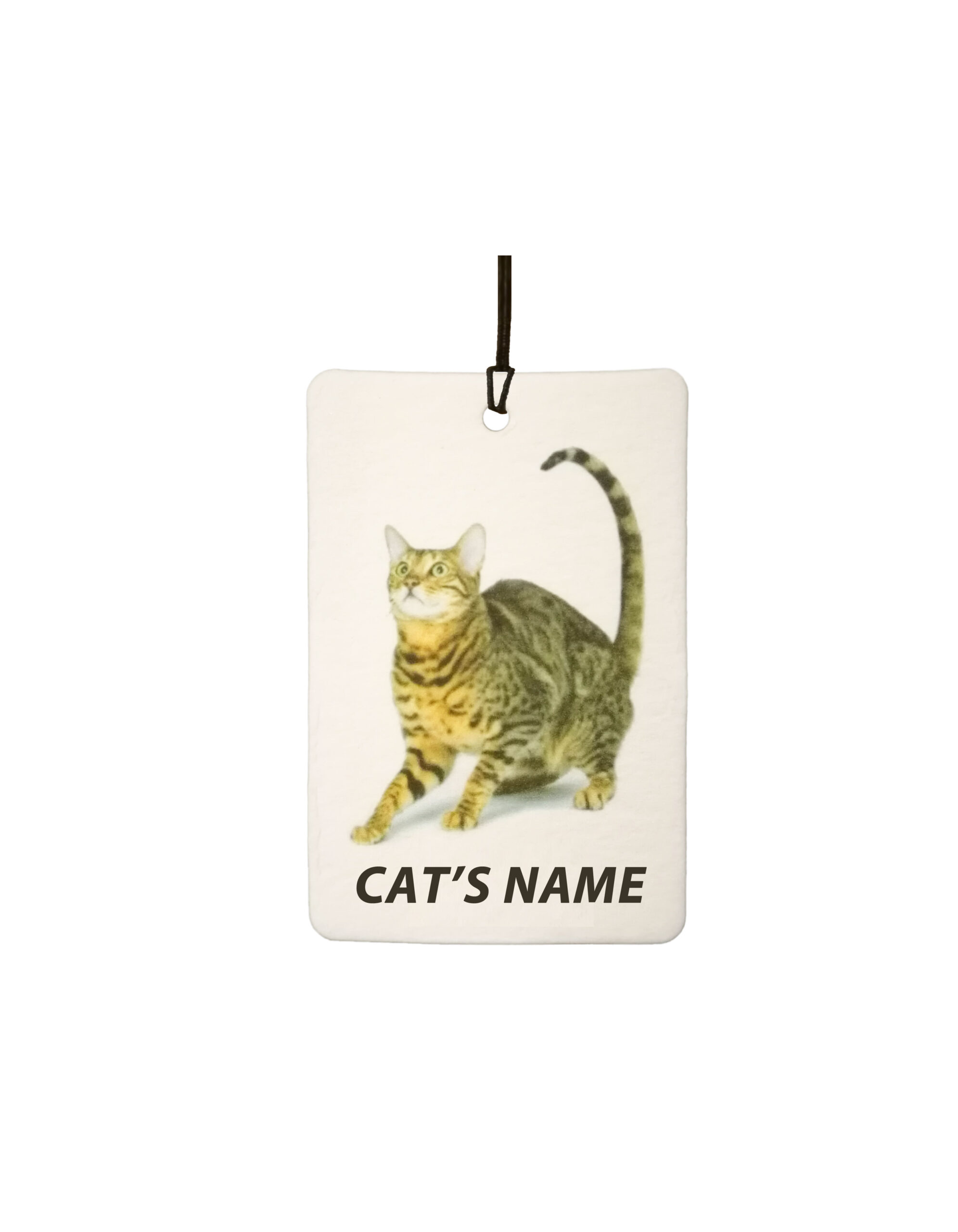 Personalised Cat's Name Bengal