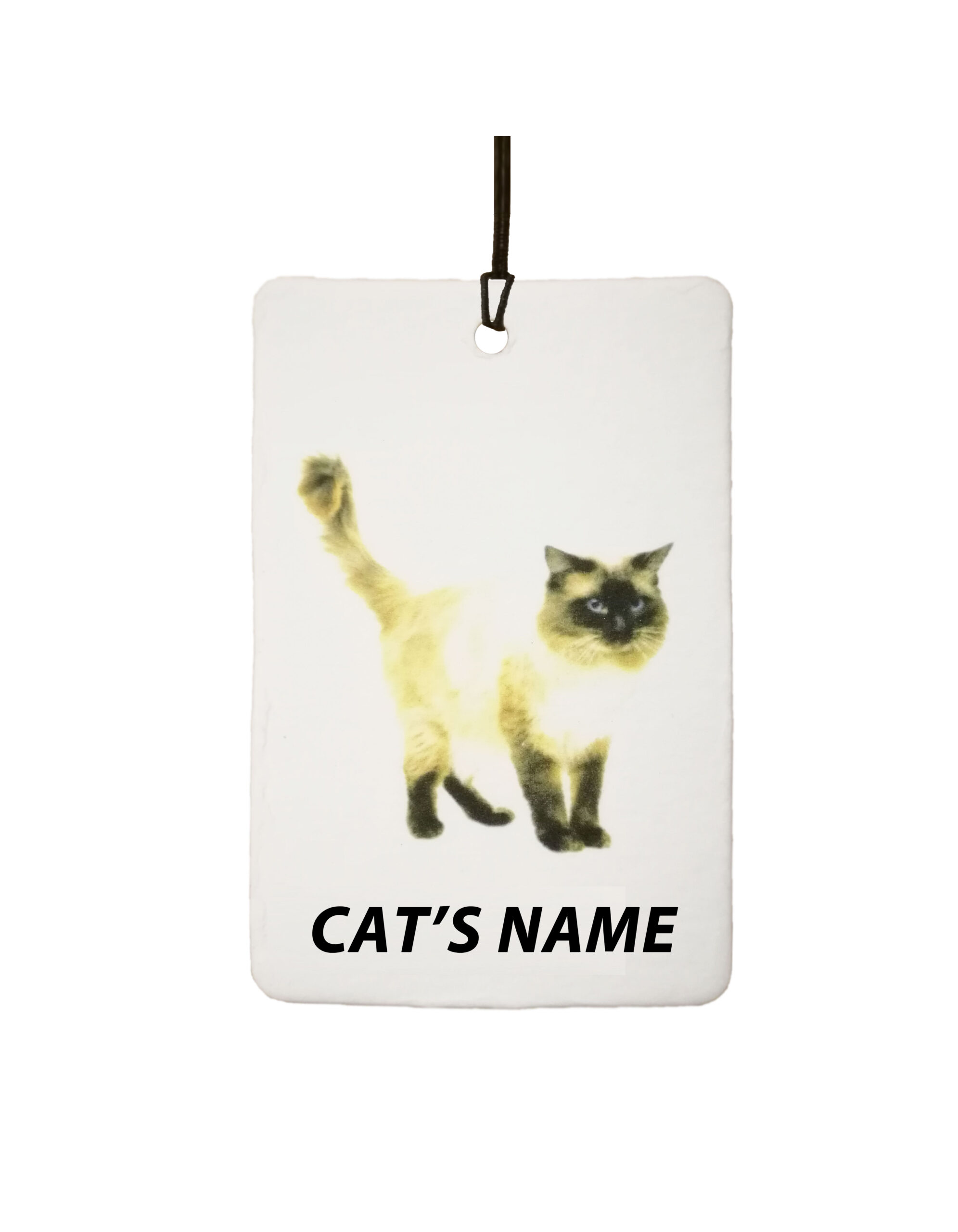 Personalised Cat's Name Ragdoll