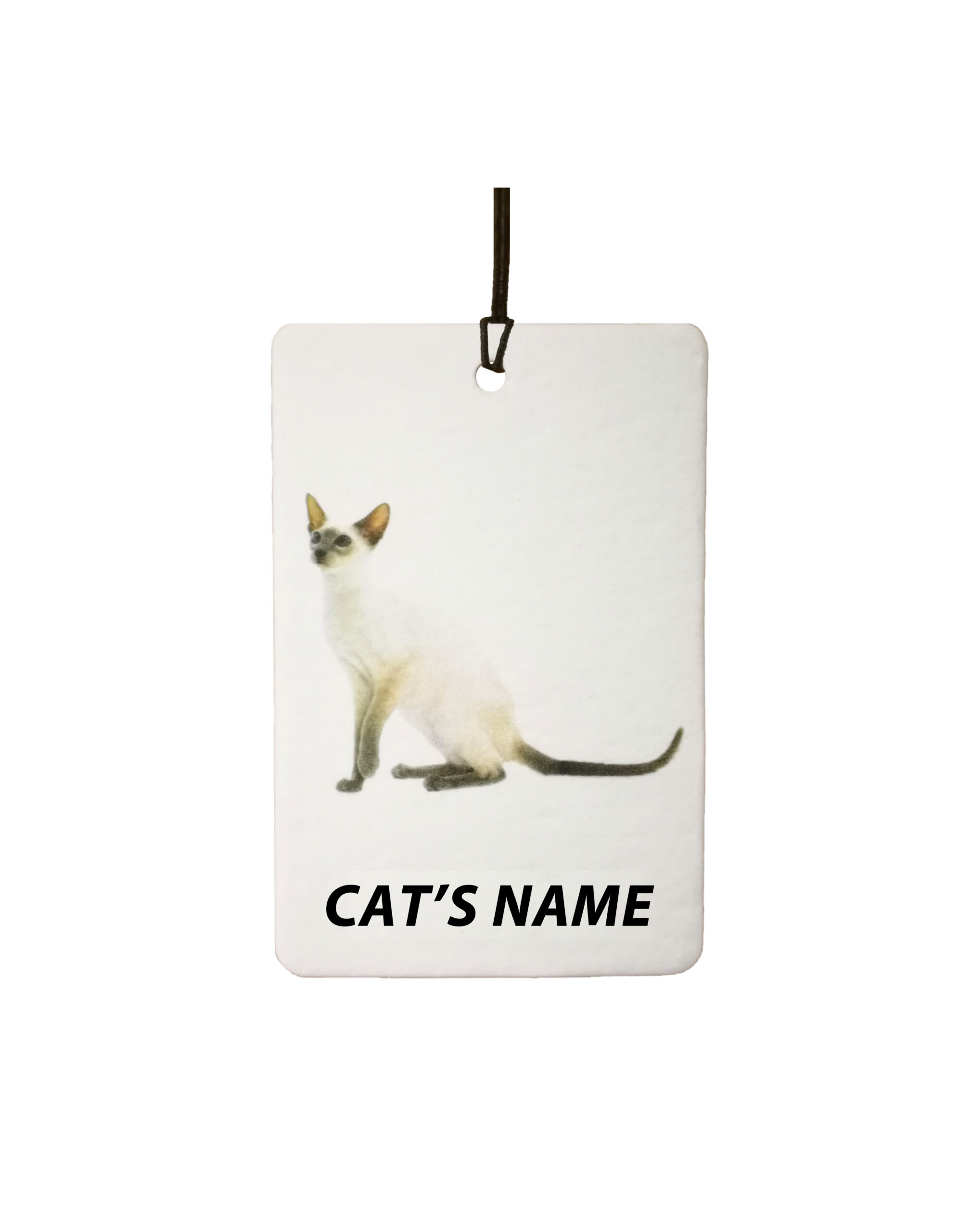 Personalised Cat's Name Siamese