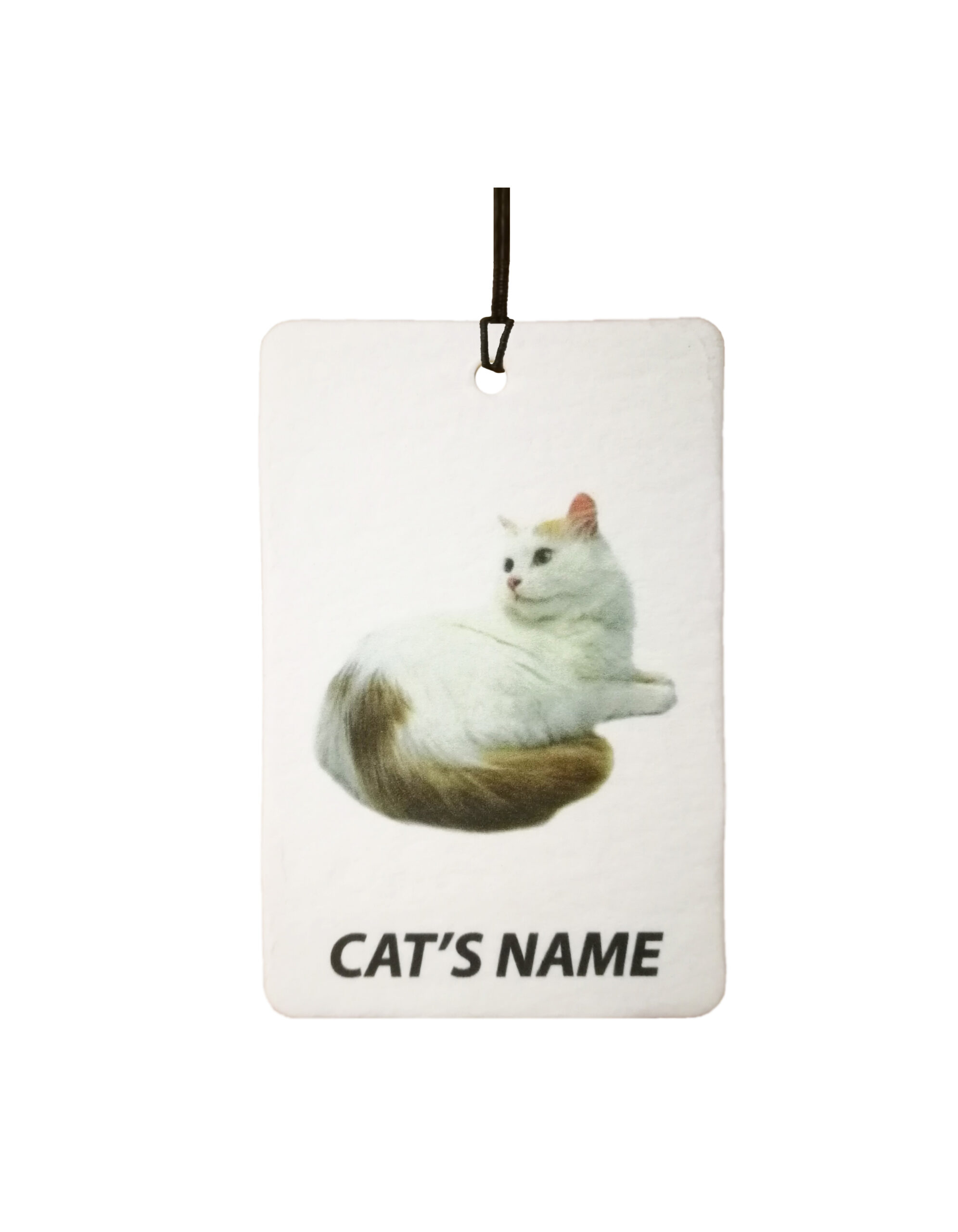 Personalised Cat's Name Turkish Van