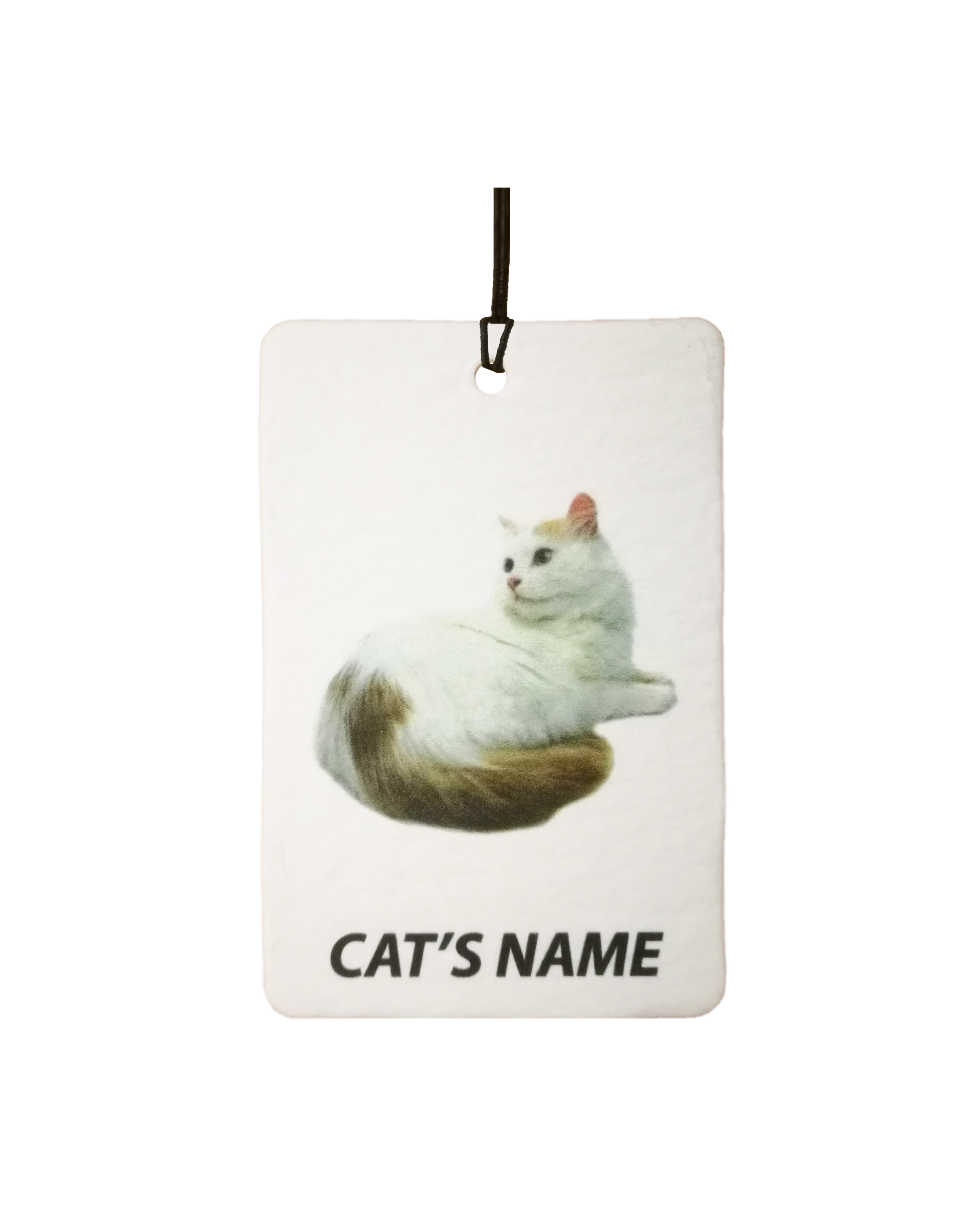 Personalised Cat's Name Turkish Van