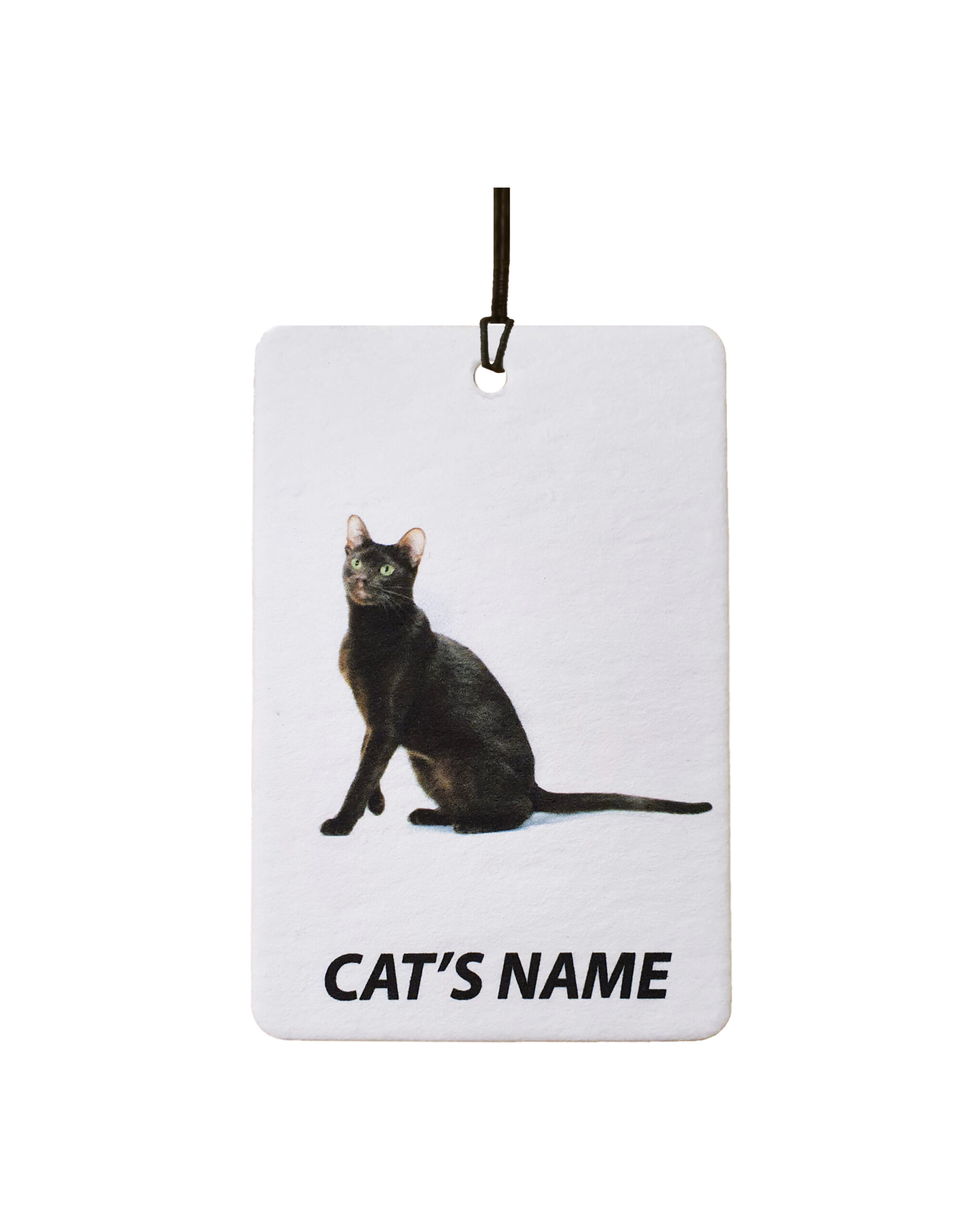 Personalised Cat's Name Havana Brown