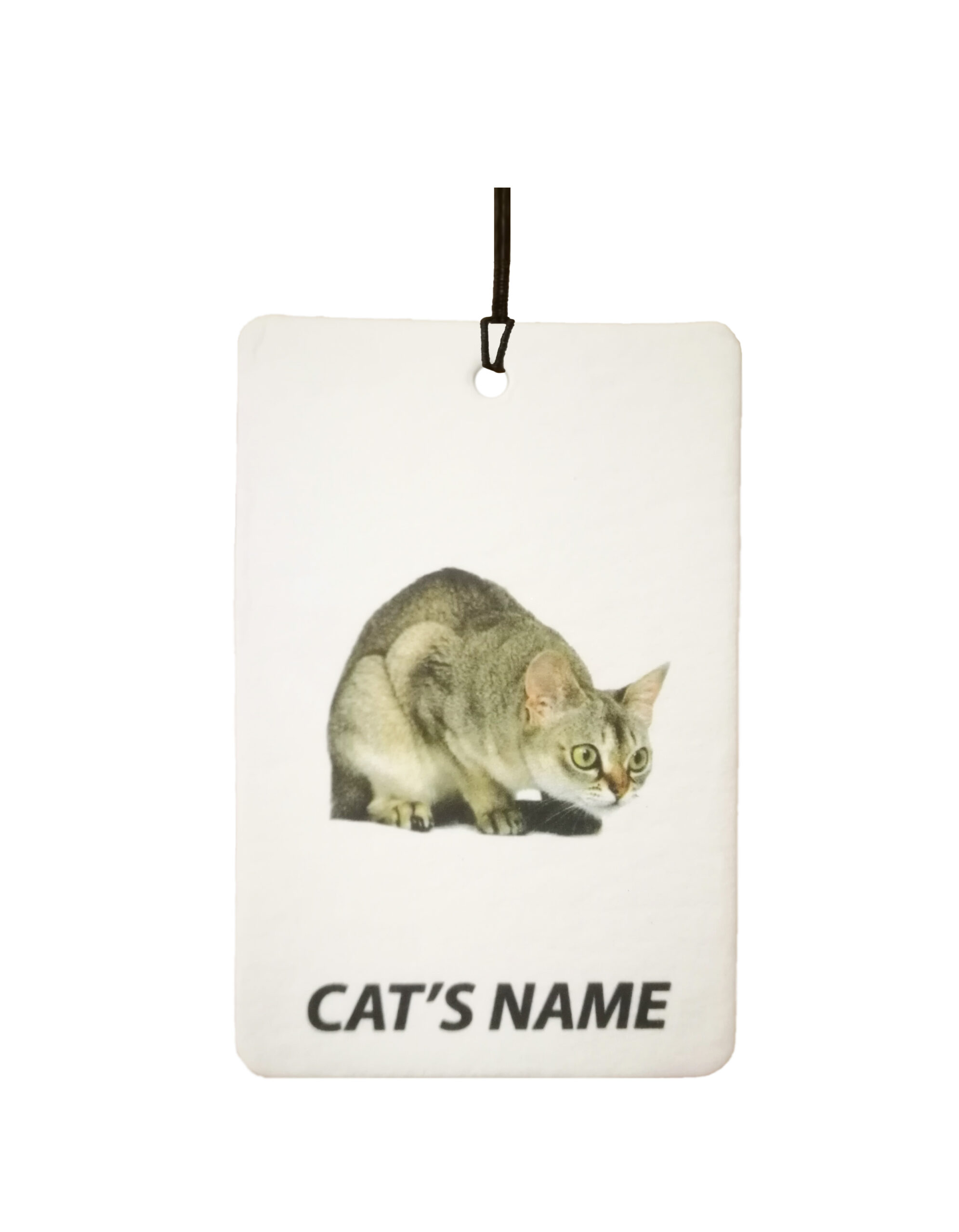 Personalised Cat's Name Singapura