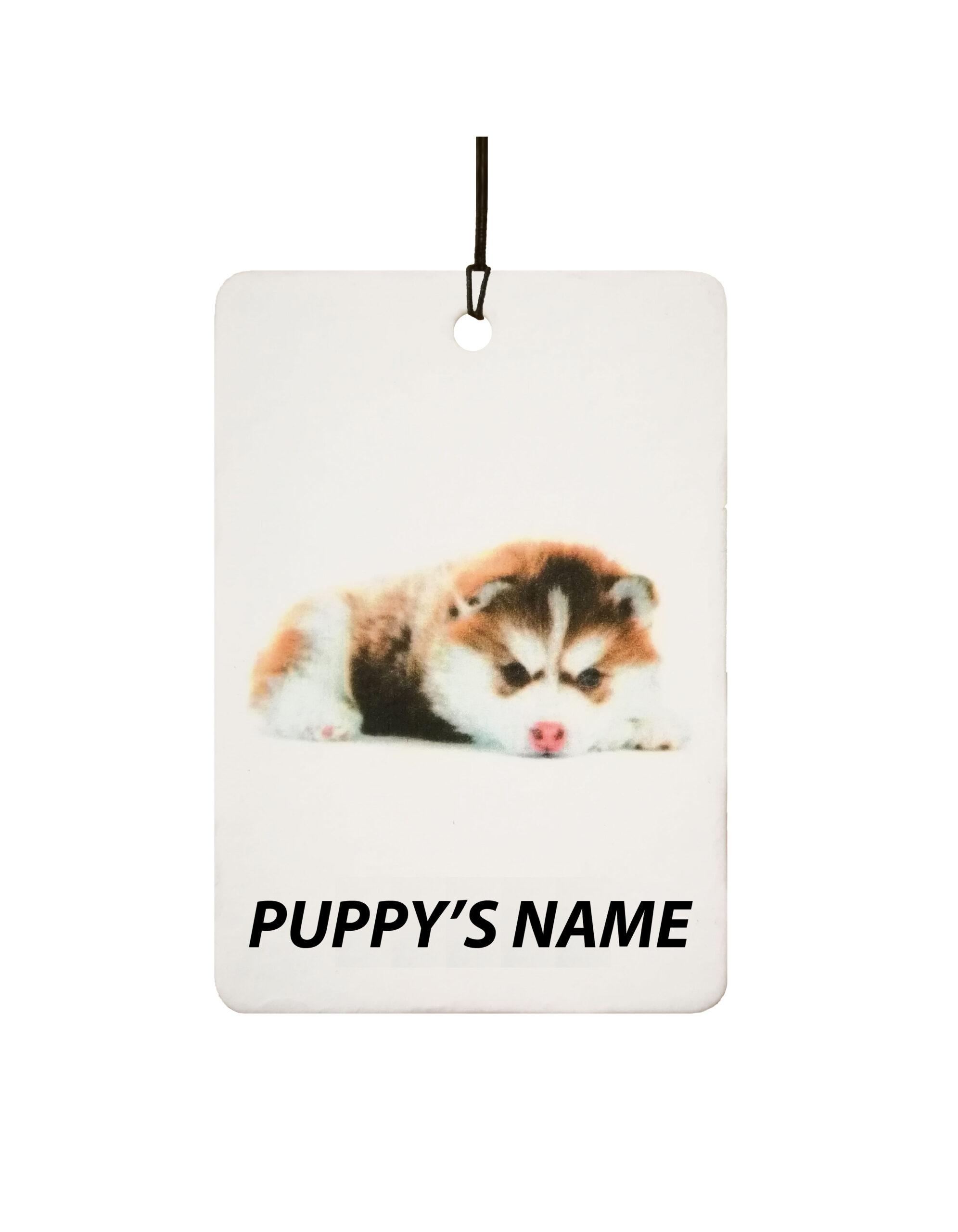 Personalised Alaskan Malamute Puppy