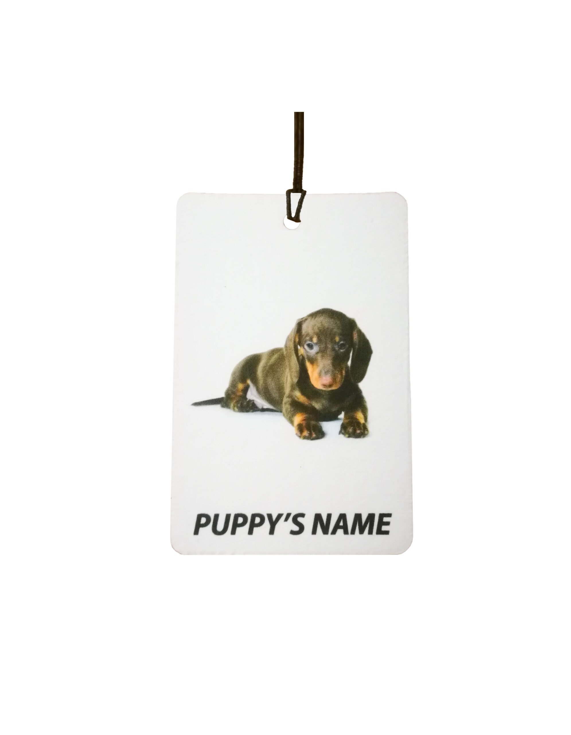 Personalised Dachshund Puppy