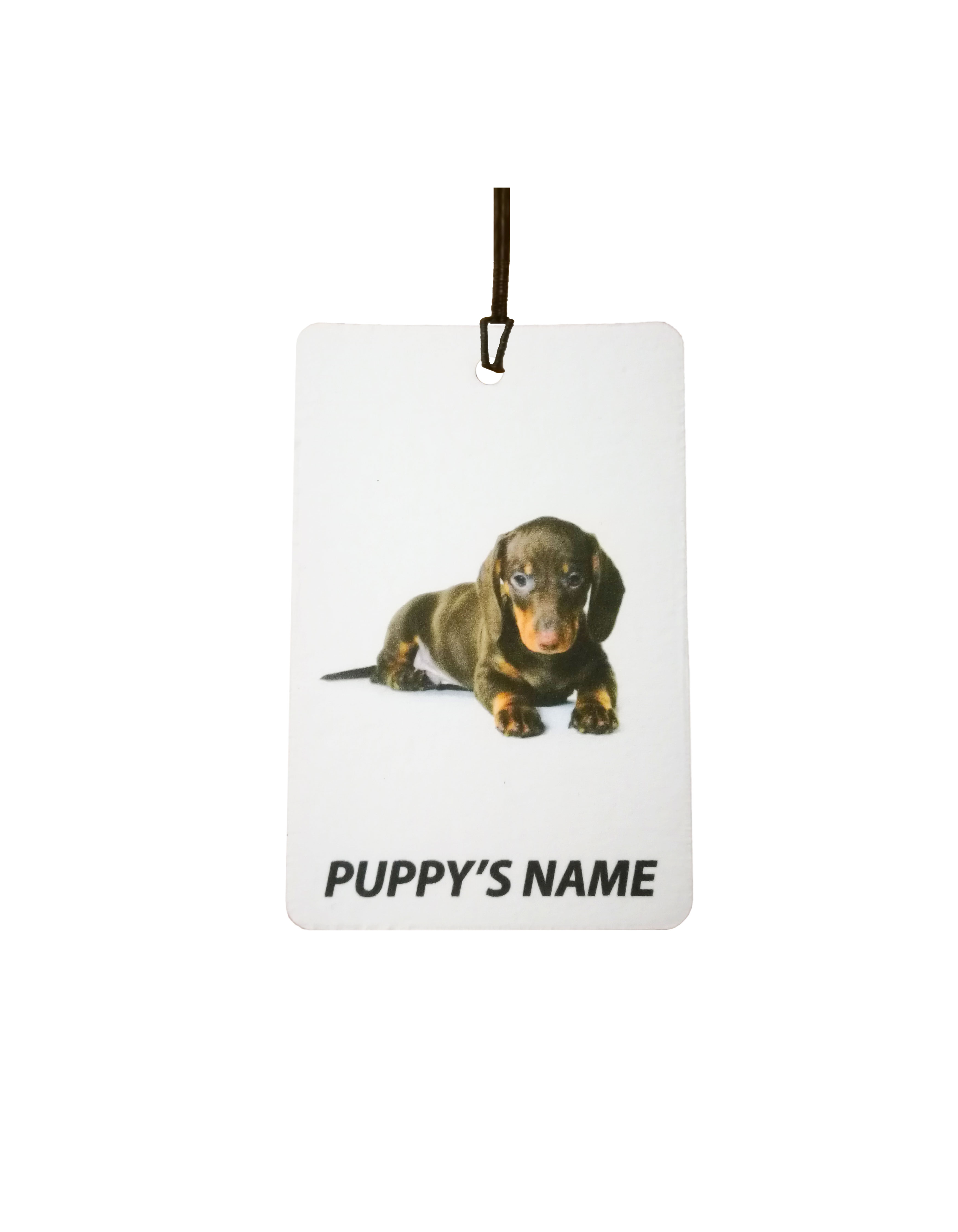 Personalised Dachshund Puppy