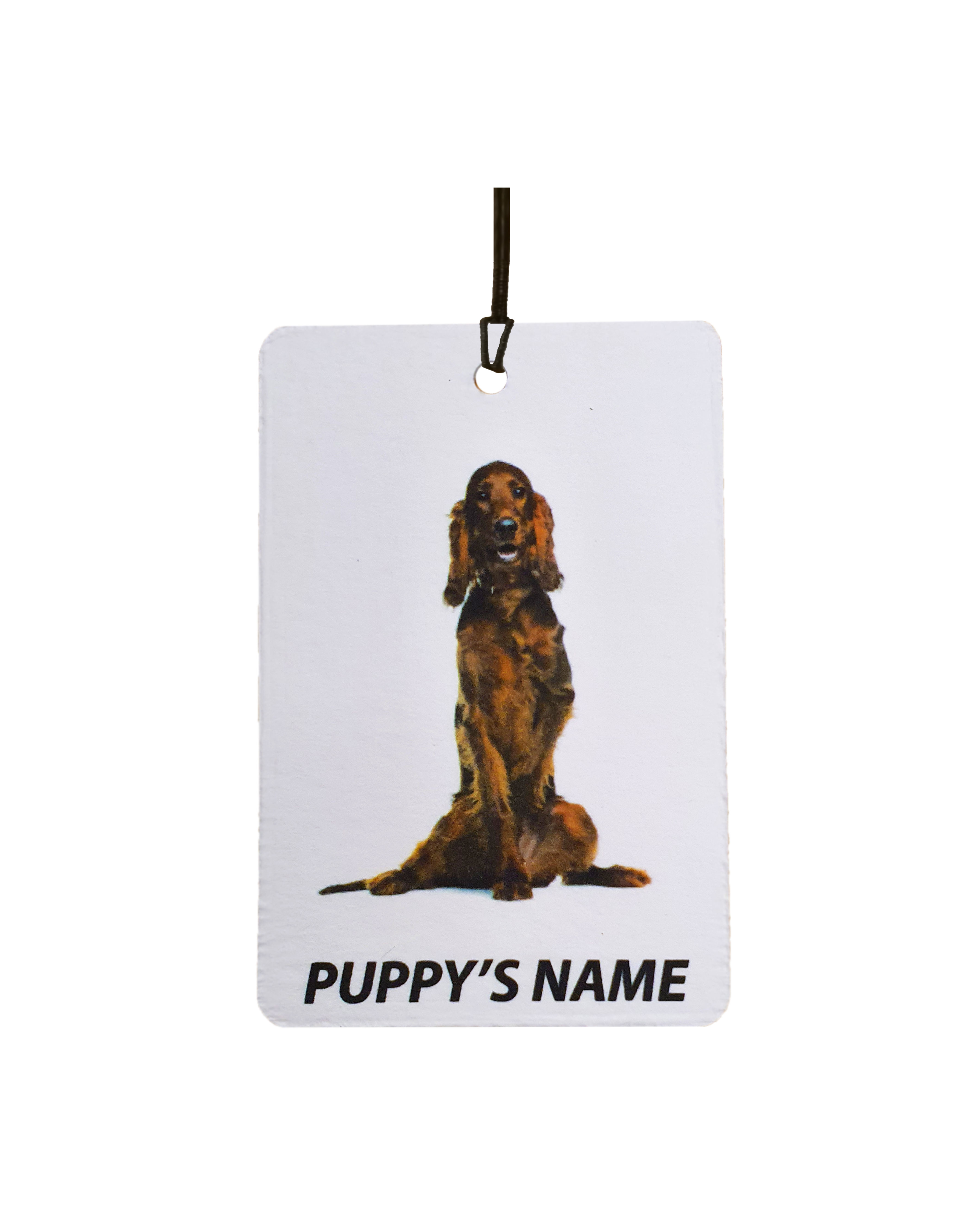 Personalised Irish Setter Puppy