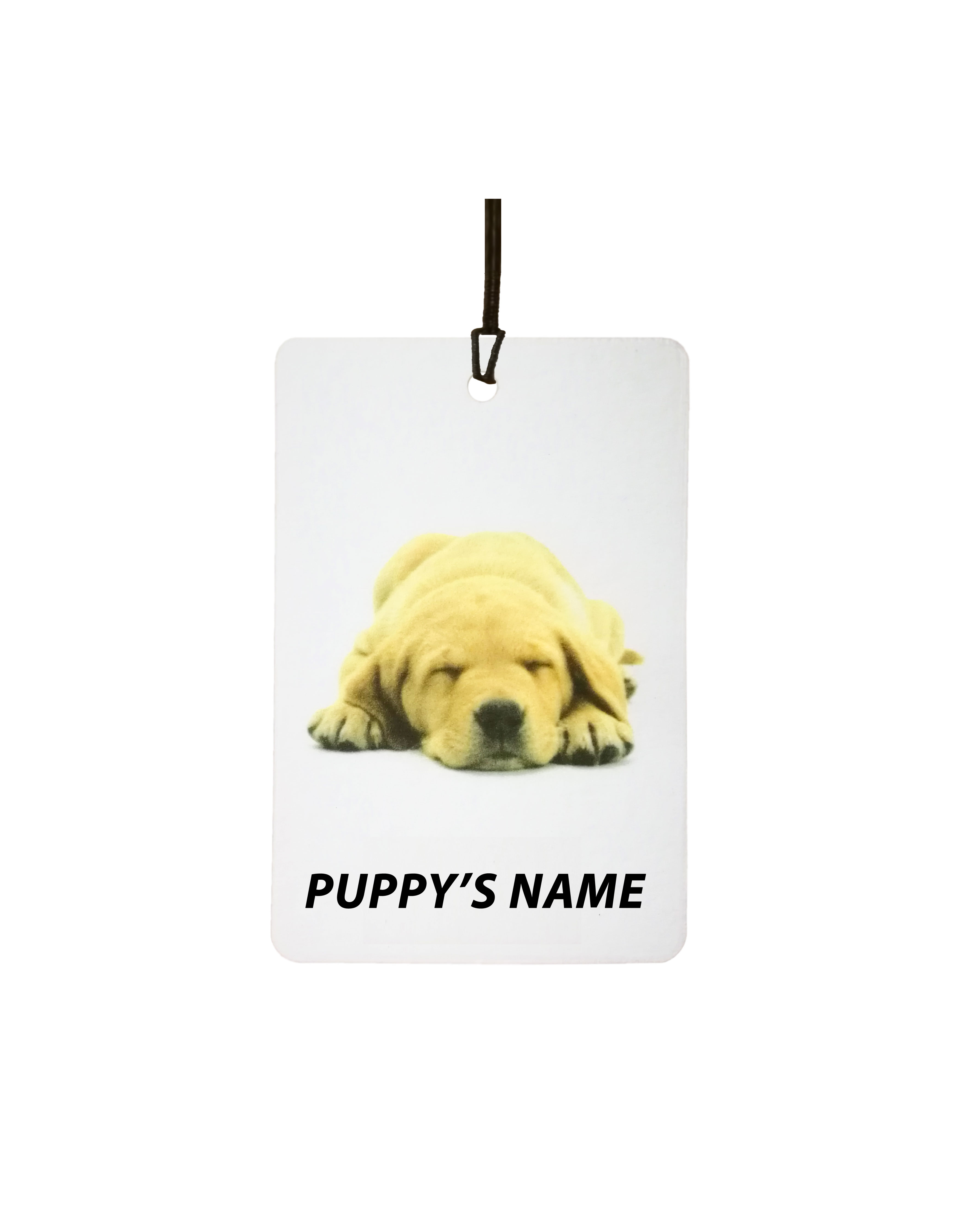 Personalised Labrador Puppy