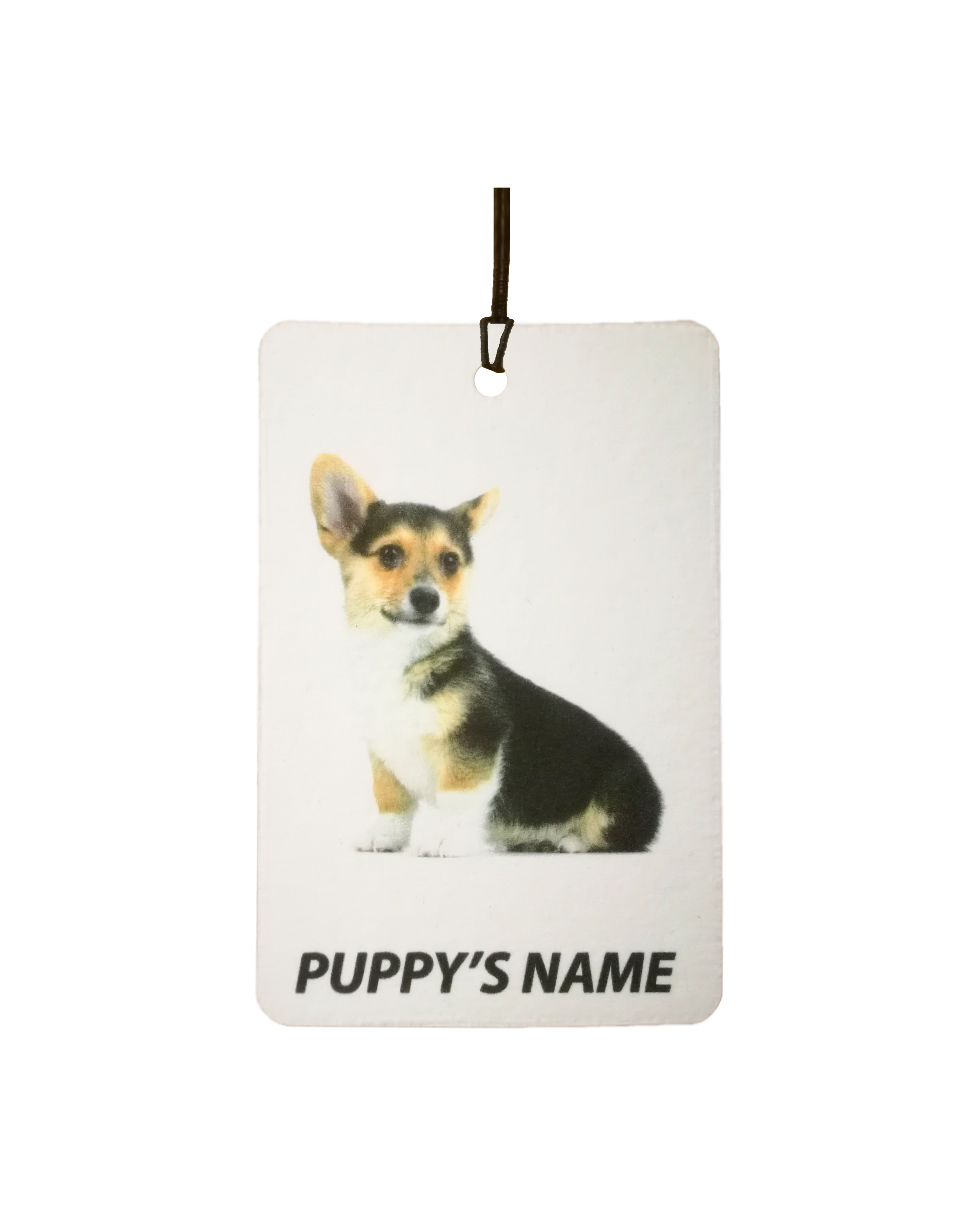 Personalised Pembroke Welsh Corgi Puppy