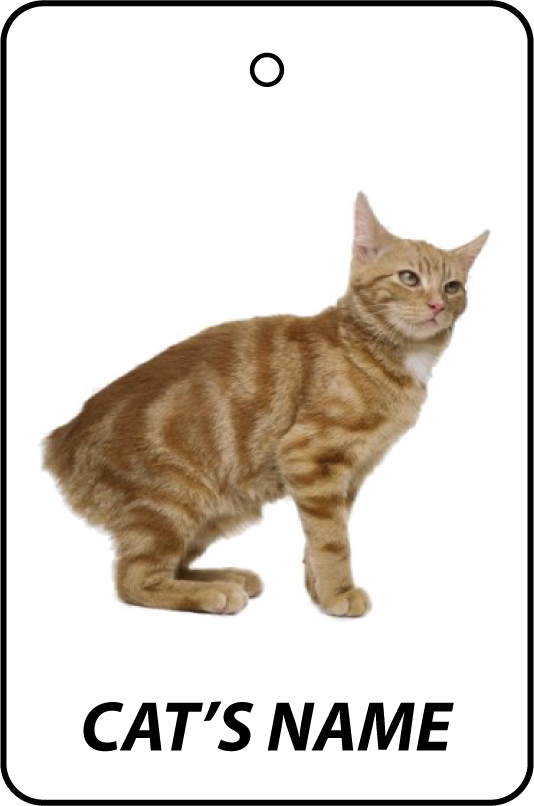 Personalised Cat's Name Manx