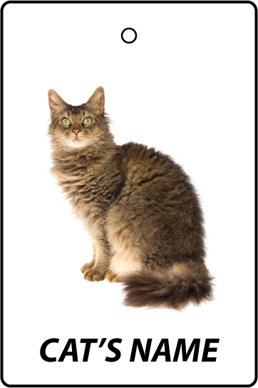 Personalised Cat's Name Laperm