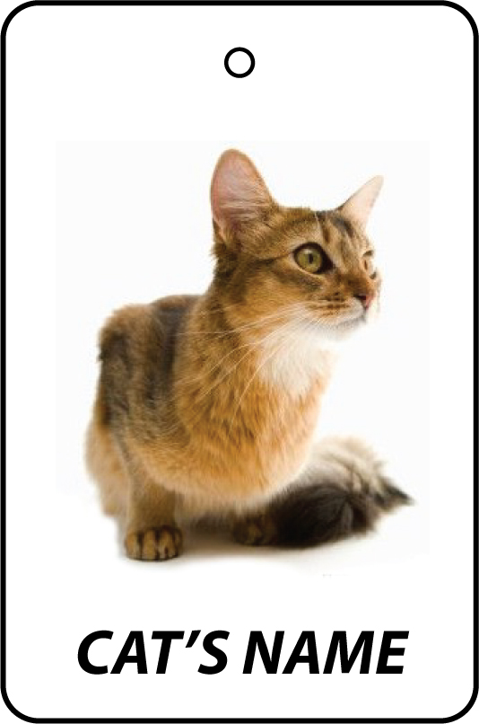 Personalised Cat's Name Somali